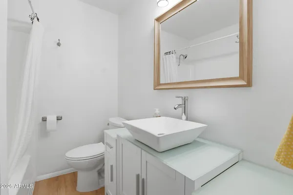 a bathroom with a sink and a toilet