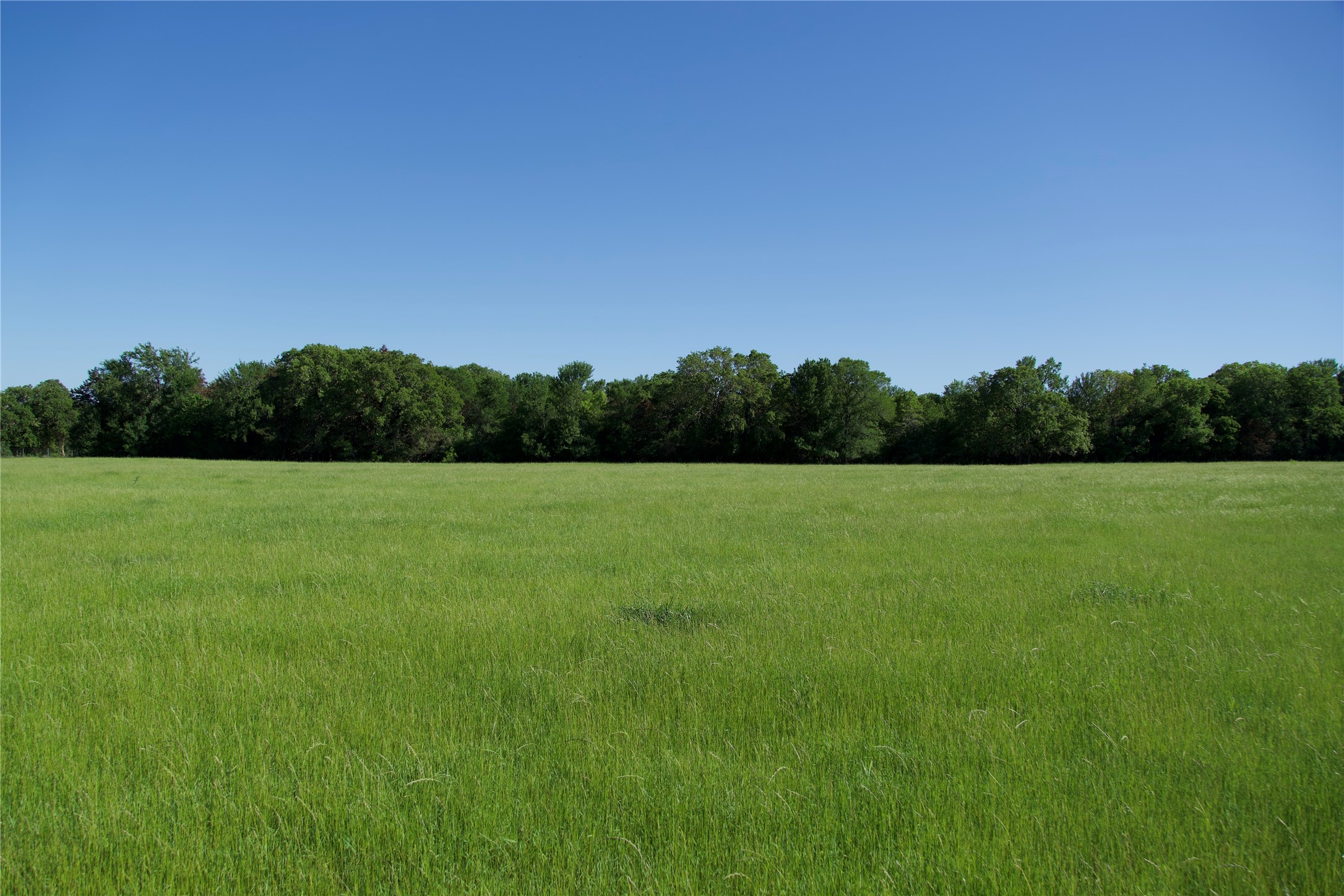 Tbd Tbd Street Paige, TX 78659 - Photo 9 of 14 View of local wilderness featuring rural landscape