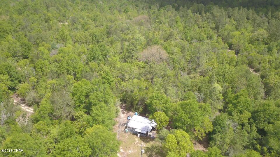 0 Reedy Creek Road Alford, FL 32420 - Photo 1 of 4
