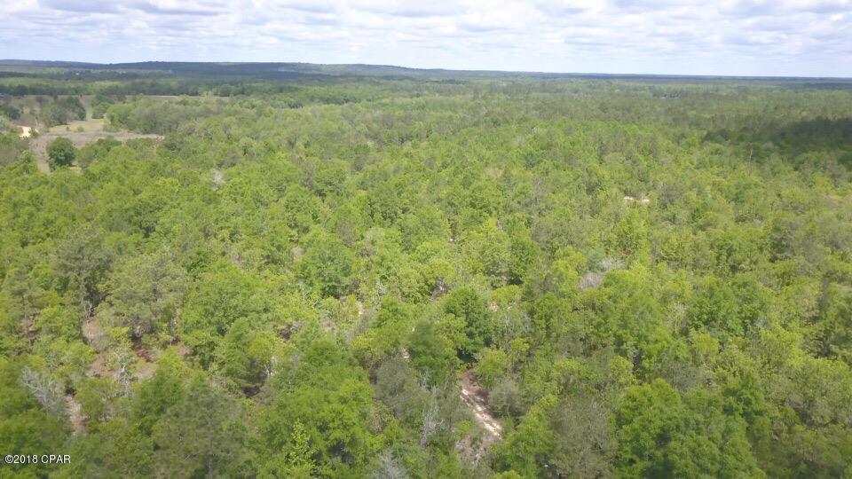 0 Reedy Creek Road Alford, FL 32420 - Photo 3 of 4