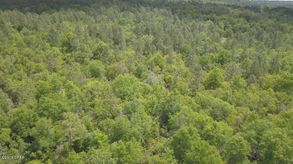0 Reedy Creek Road Alford, FL 32420 - Photo 4 of 4