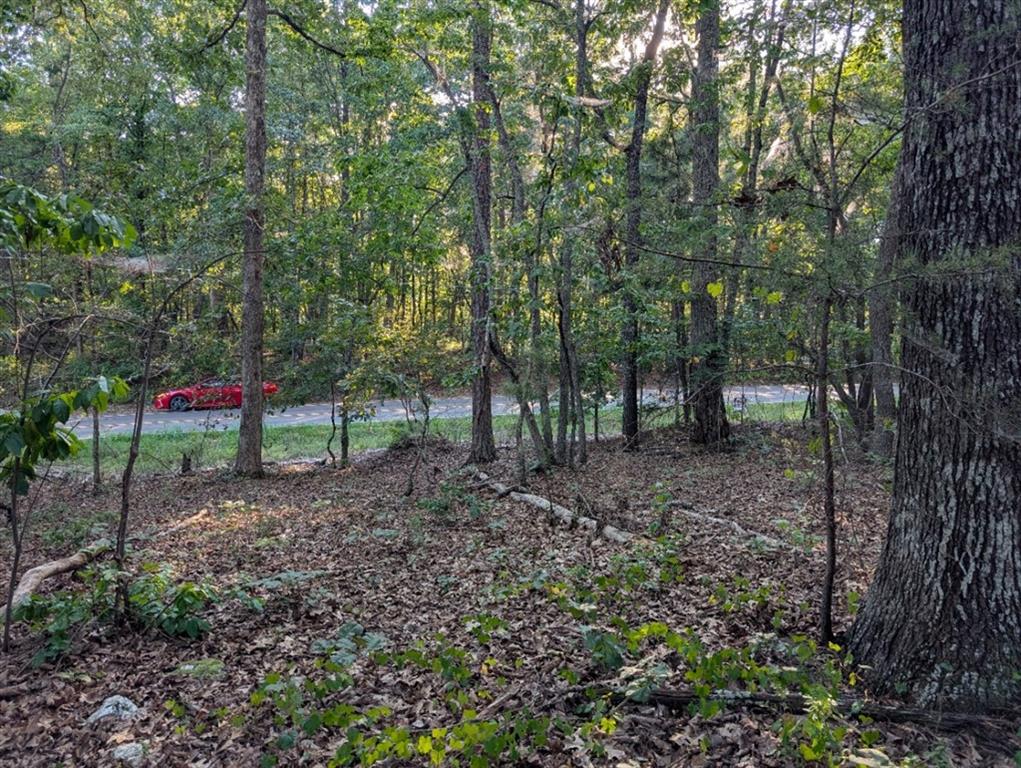 0 Jay Green Road Canton, GA 30115 - Photo 7 of 10 Gallery Image 7