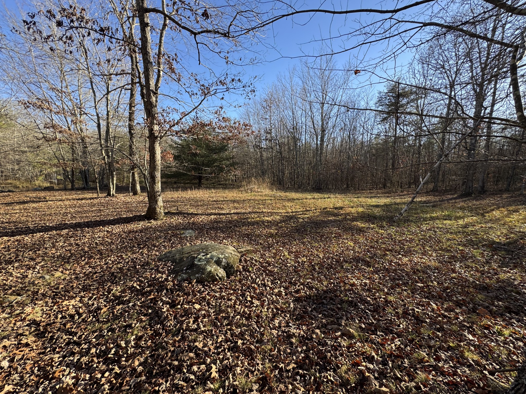 224 Azalea Ridge Road Tracy City, TN 37387 - Photo 16 of 20 a view of a yard with wooden fence