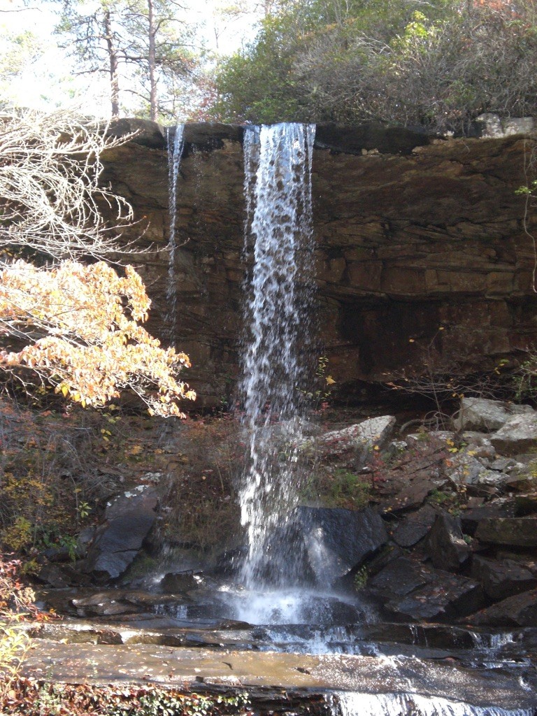 224 Azalea Ridge Road Tracy City, TN 37387 - Photo 17 of 20 a view of a yard
