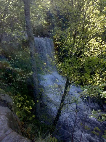 $199,999 | 224 Azalea Ridge Road, Tracy City, TN 37387