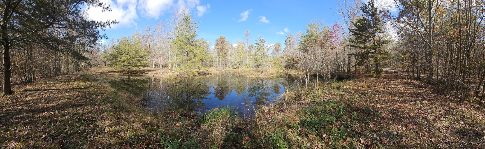224 Azalea Ridge Road Tracy City, TN 37387 - Photo 20 of 20 a view of a yard