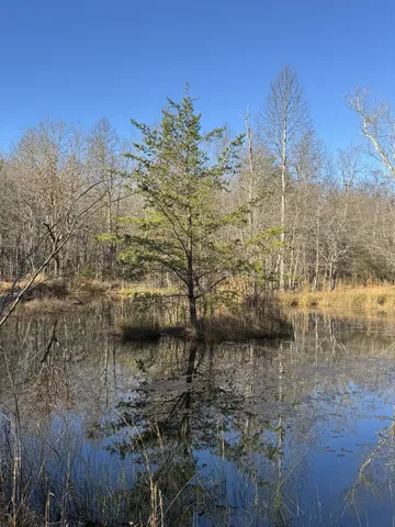 $199,999 | 224 Azalea Ridge Road, Tracy City, TN 37387