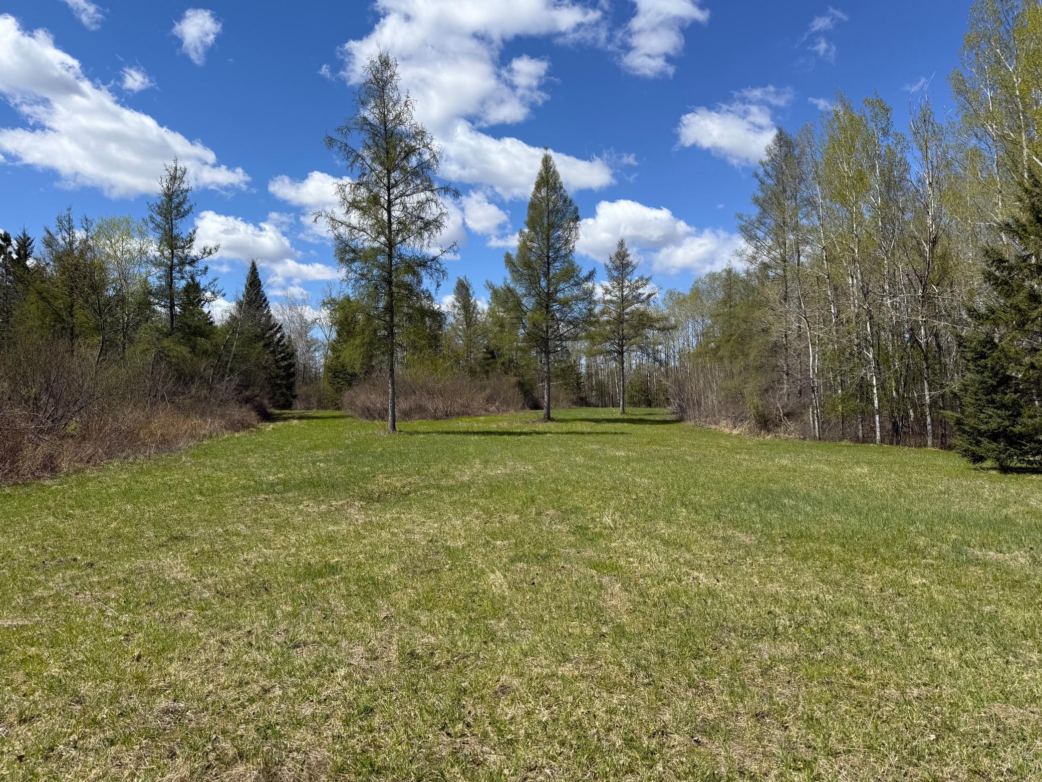 89225 Little Oak Lake Road Kerrick, MN 55756 - Photo 1 of 57