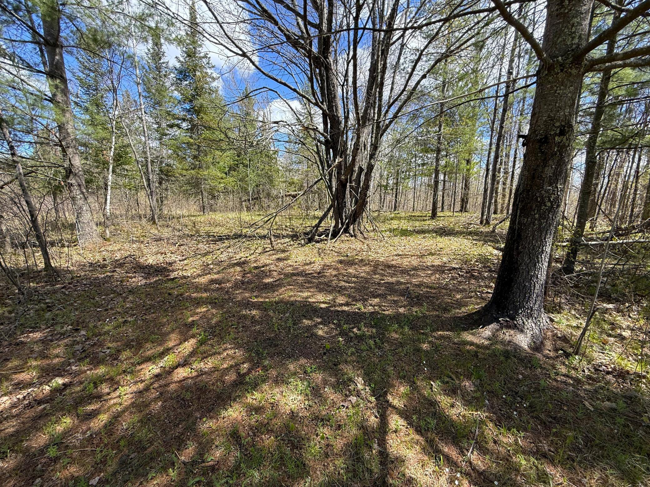 89225 Little Oak Lake Road Kerrick, MN 55756 - Photo 42 of 57