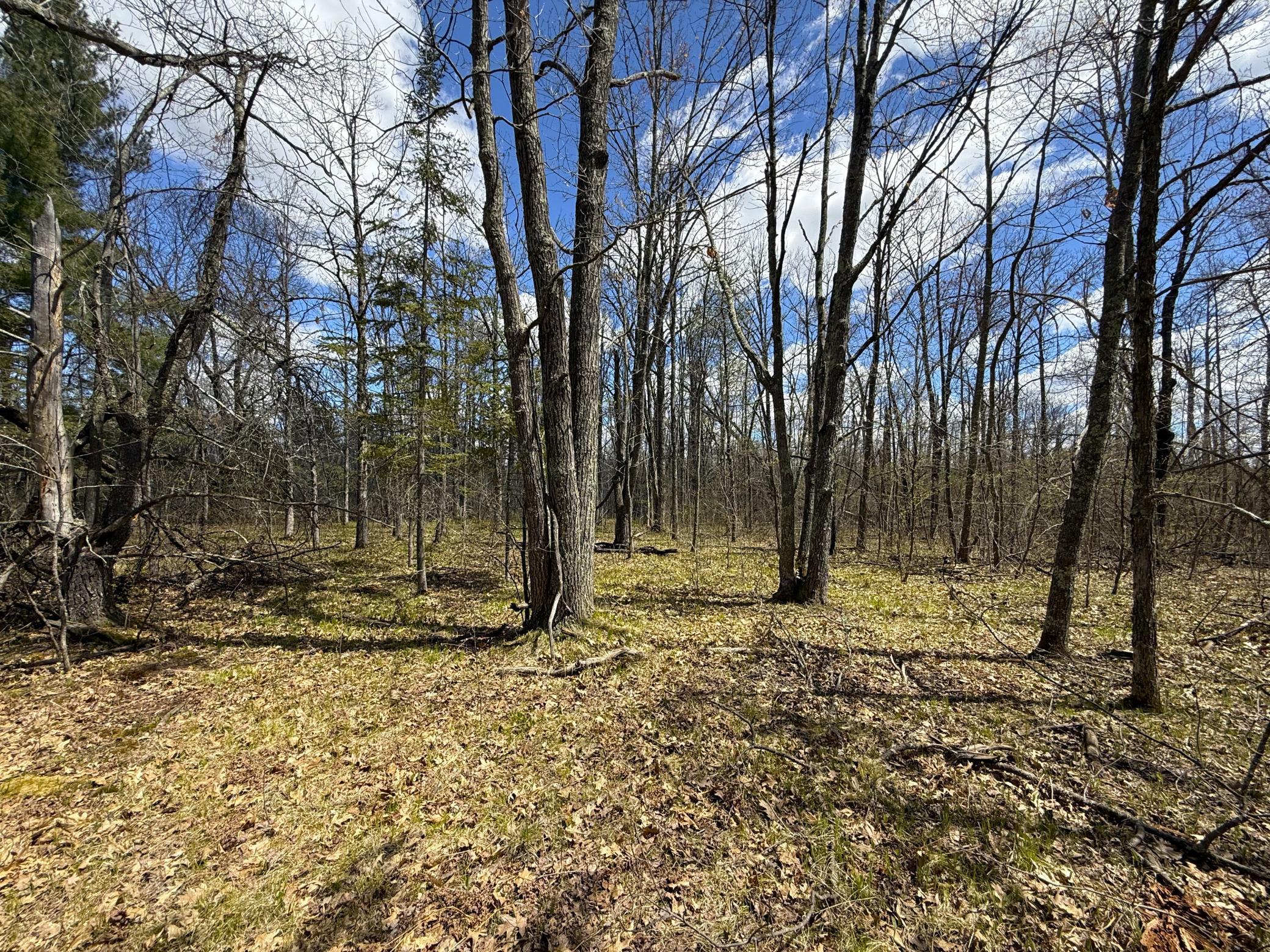 89225 Little Oak Lake Road Kerrick, MN 55756 - Photo 43 of 57