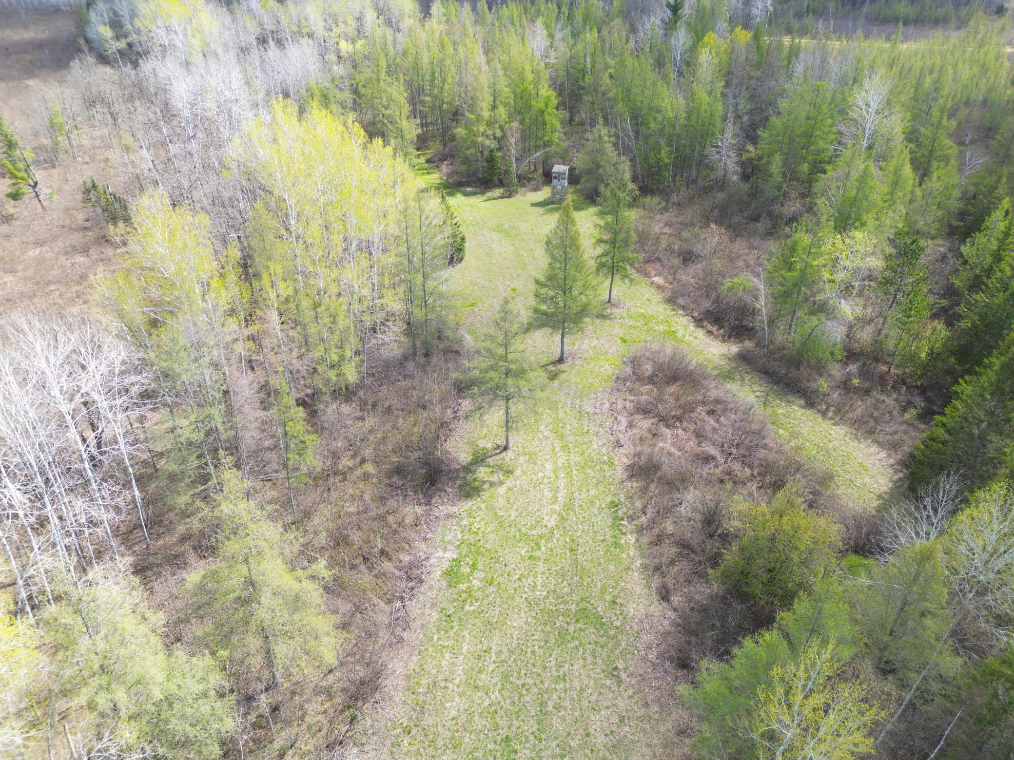 89225 Little Oak Lake Road Kerrick, MN 55756 - Photo 50 of 57