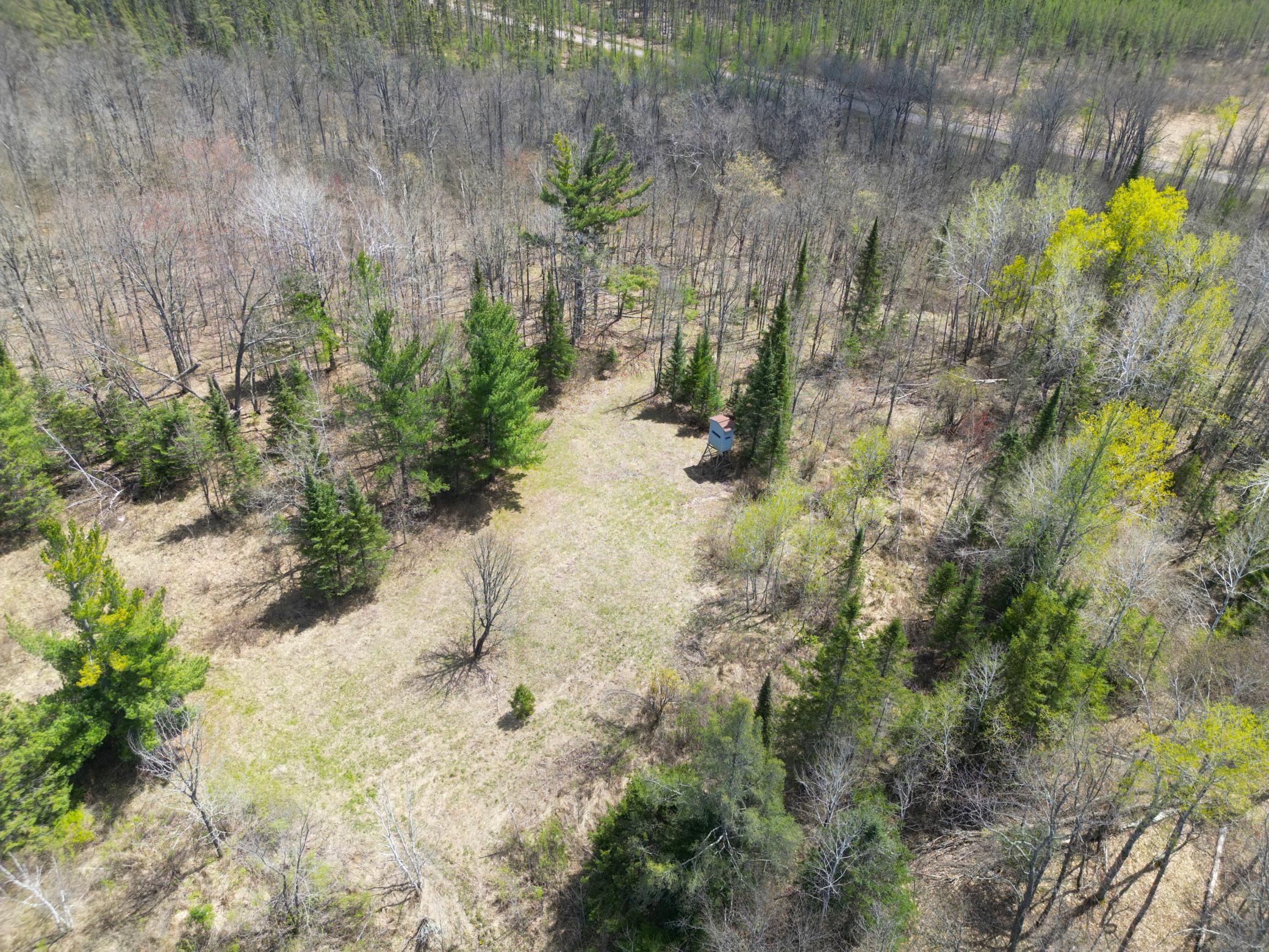 89225 Little Oak Lake Road Kerrick, MN 55756 - Photo 5 of 57