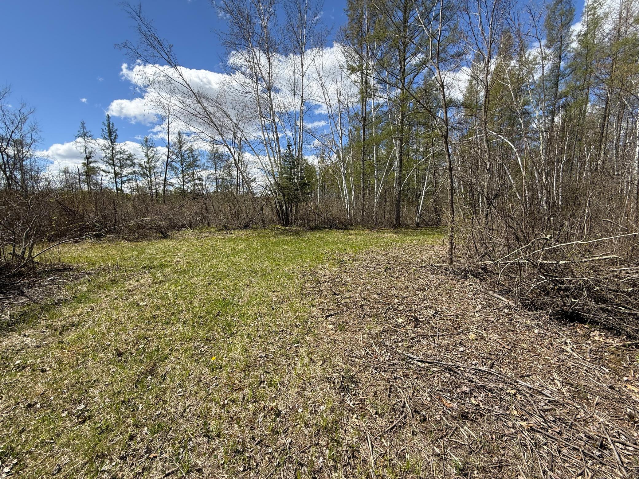 89225 Little Oak Lake Road Kerrick, MN 55756 - Photo 9 of 57