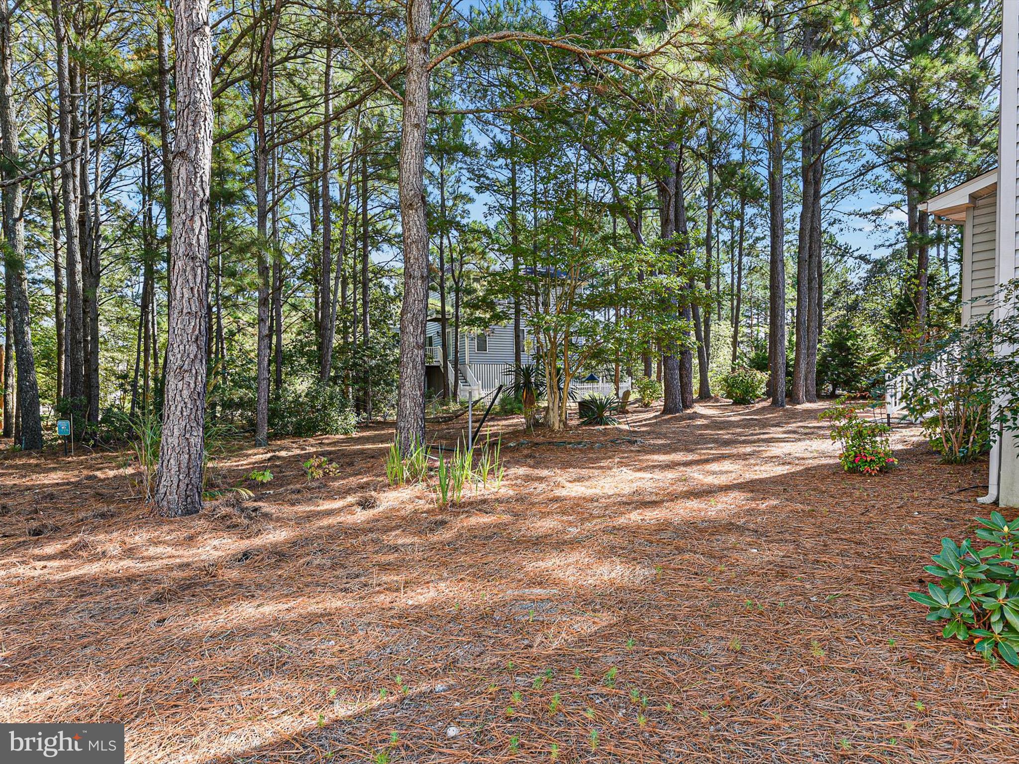 541 Bethany Loop Bethany Beach, DE 19930 - Photo 7 of 41