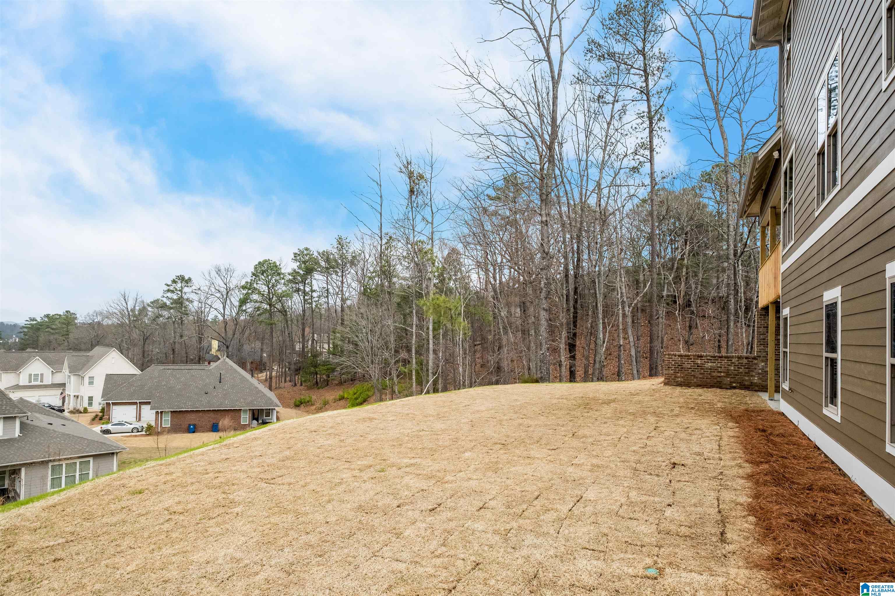 1054 Eagle Nest Circle Birmingham, AL 35242 - Photo 61 of 64