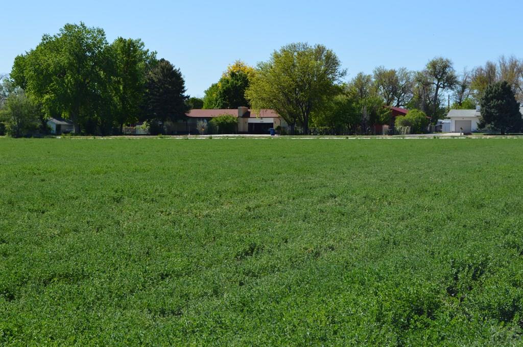 2216 County Farm Road Pueblo, CO 81006 - Photo 25 of 35 Gallery Image 25