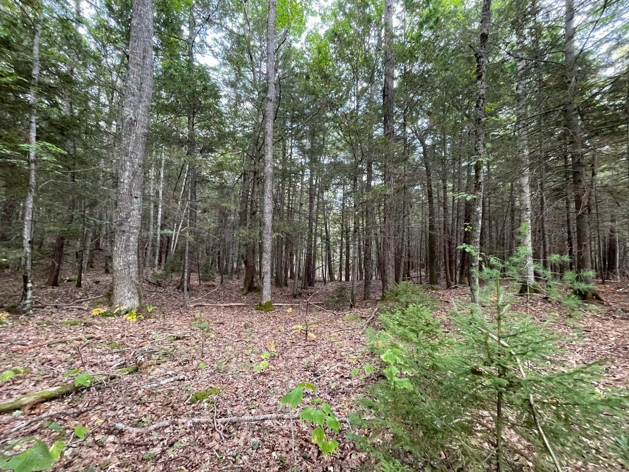 Lot G Blue Rdg Acrs Acres, Unit ACRES Bristol, ME 04539 - Photo 4 of 13 mail10