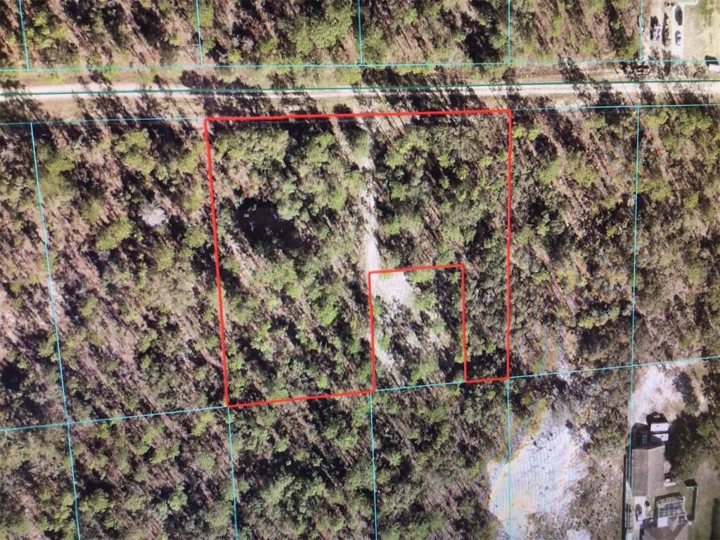 0 Southwest 87th Street Dunnellon, FL 34432 - Photo 1 of 5