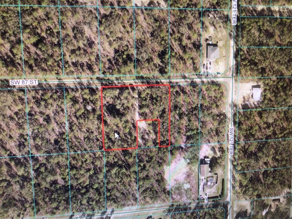 0 Southwest 87th Street Dunnellon, FL 34432 - Photo 2 of 5 a view of outside area