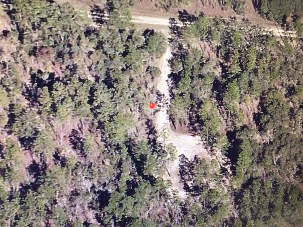 0 Southwest 87th Street Dunnellon, FL 34432 - Photo 5 of 5 a view of a forest with a tree