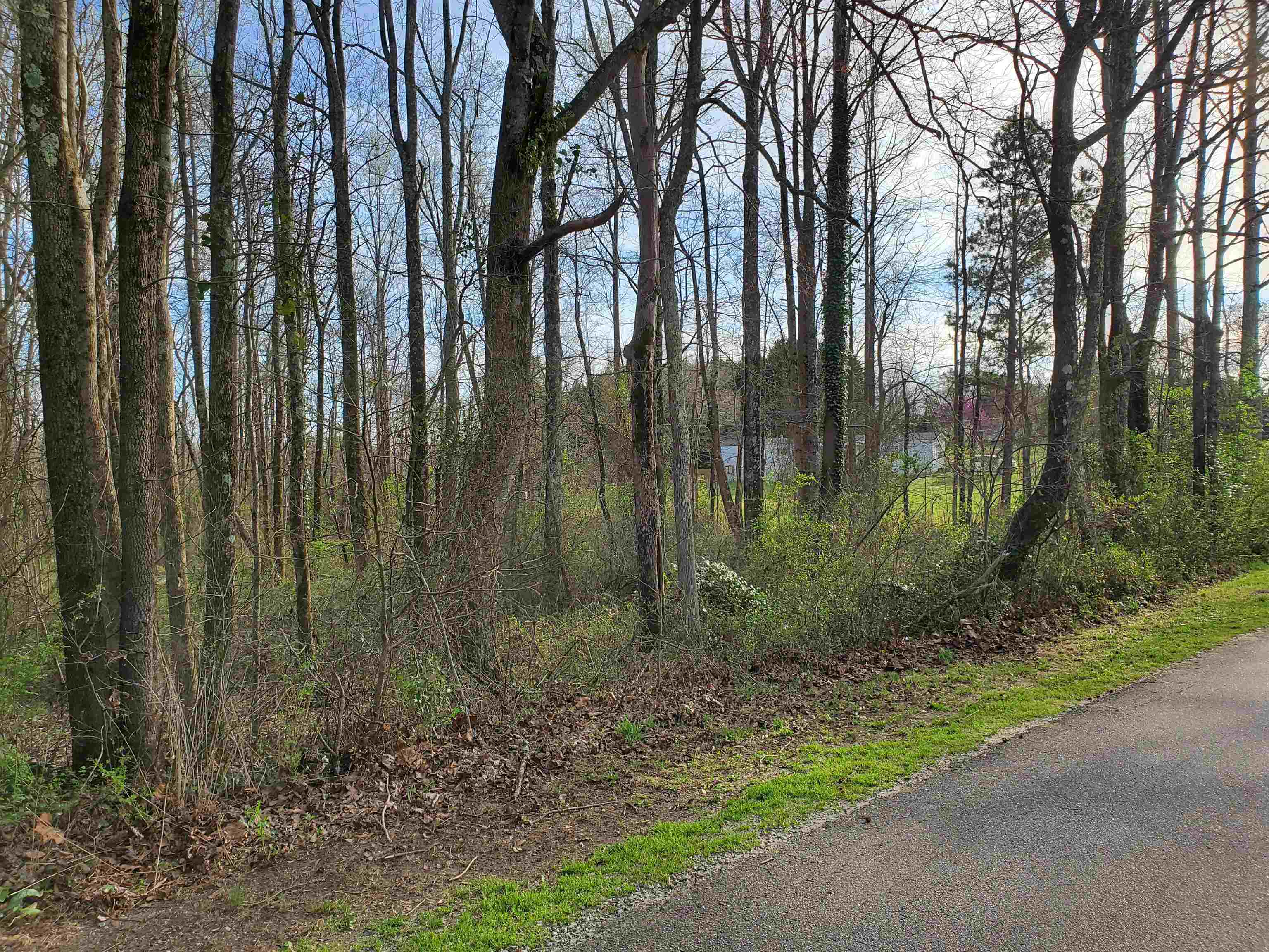 173 Apple Orchard Inman, SC 29349 - Photo 21 of 24