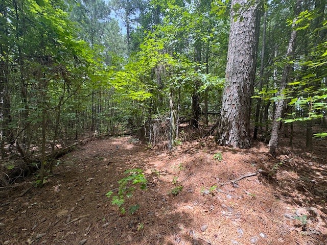 0 West W Highway Colbert, GA 30628 - Photo 3 of 10 Gallery Image 3