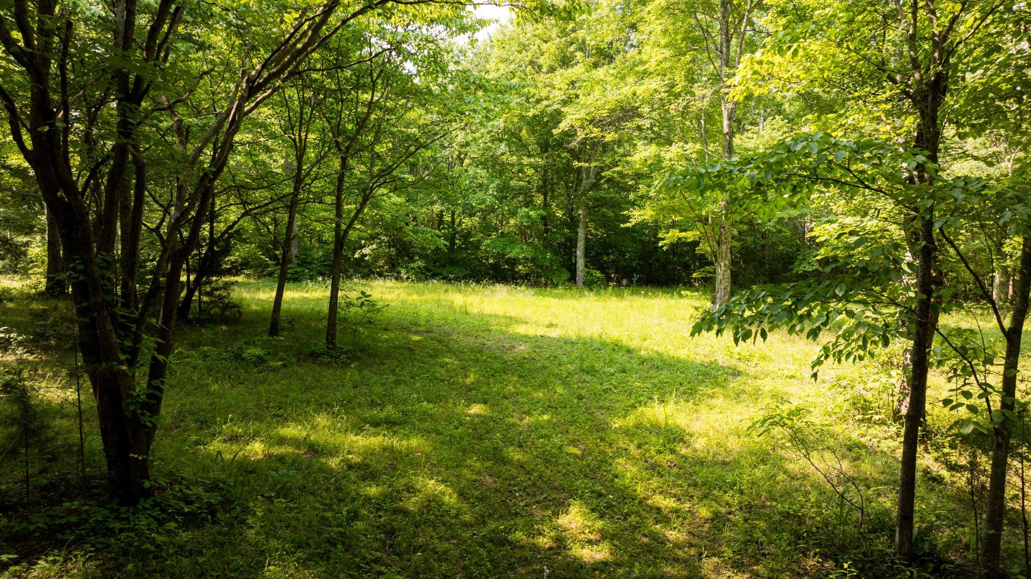 5584 Wilkins Branch Road Franklin, TN 37064 - Photo 54 of 69 Gallery Image 54
