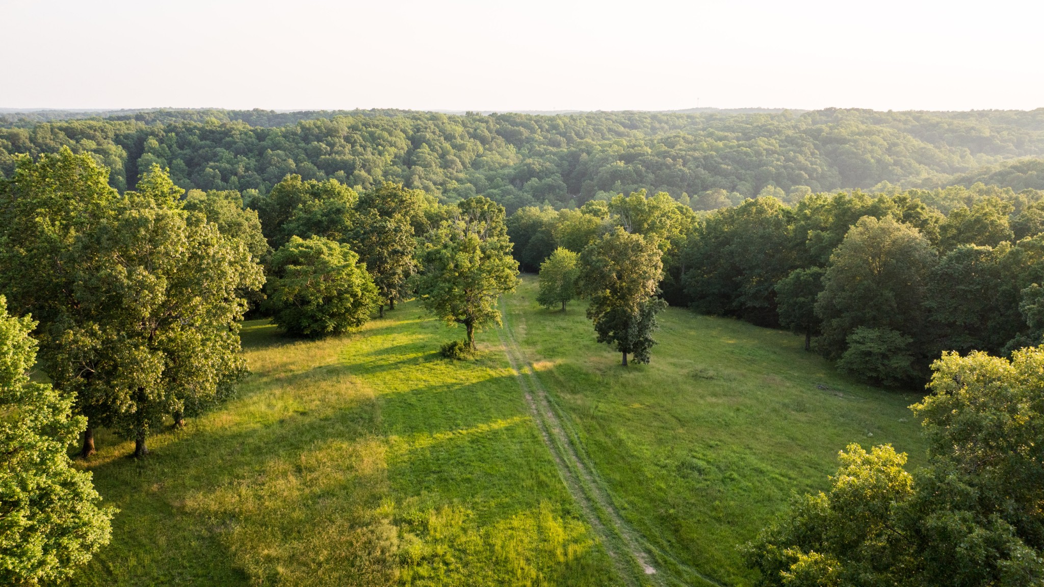 5584 Wilkins Branch Road Franklin, TN 37064 - Photo 8 of 69 Gallery Image 8