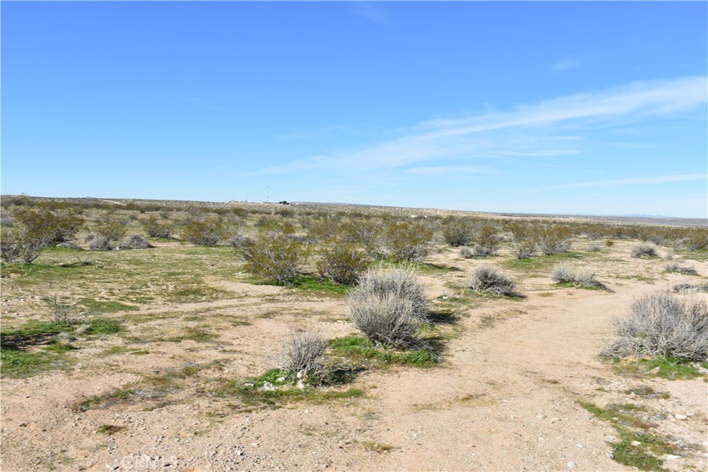 25 Frontier Road Helendale, CA 92342 - Photo 21 of 31