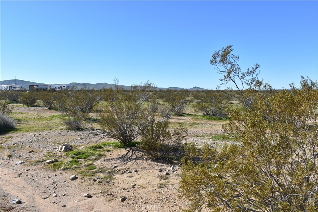 25 Frontier Road Helendale, CA 92342 - Photo 4 of 31