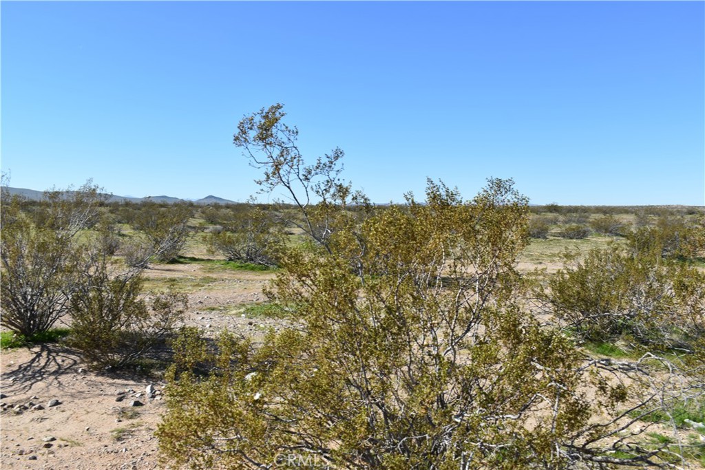 25 Frontier Road Helendale, CA 92342 - Photo 5 of 31