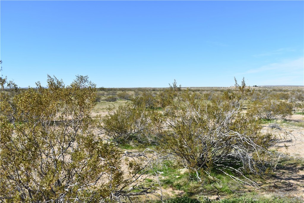 25 Frontier Road Helendale, CA 92342 - Photo 7 of 31