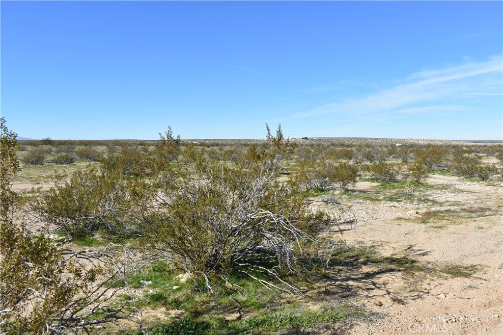 25 Frontier Road Helendale, CA 92342 - Photo 8 of 31