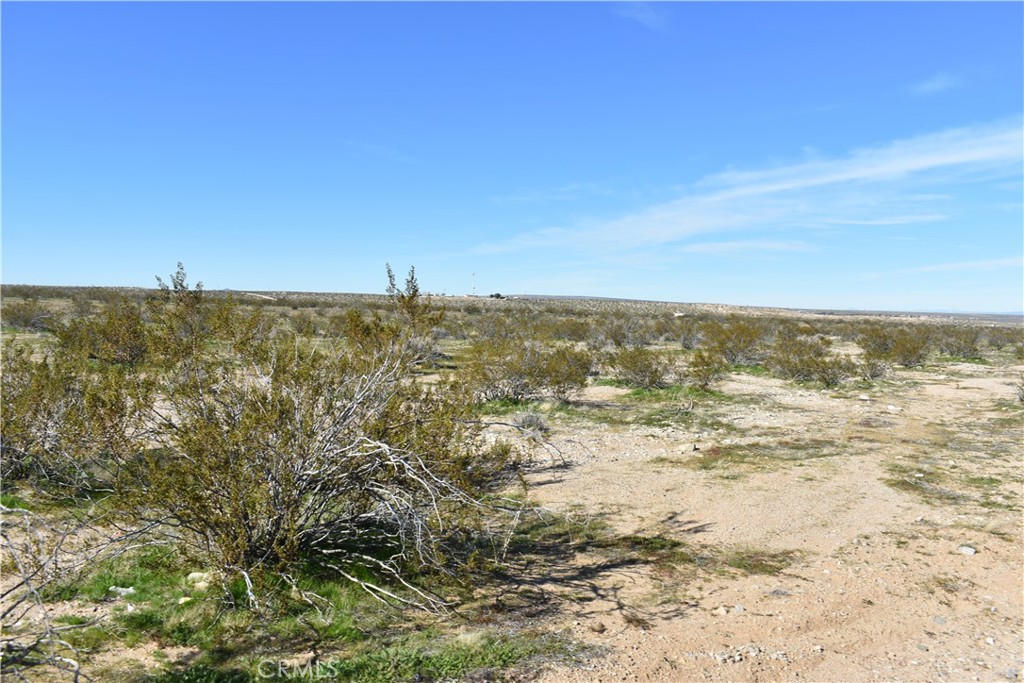 25 Frontier Road Helendale, CA 92342 - Photo 9 of 31