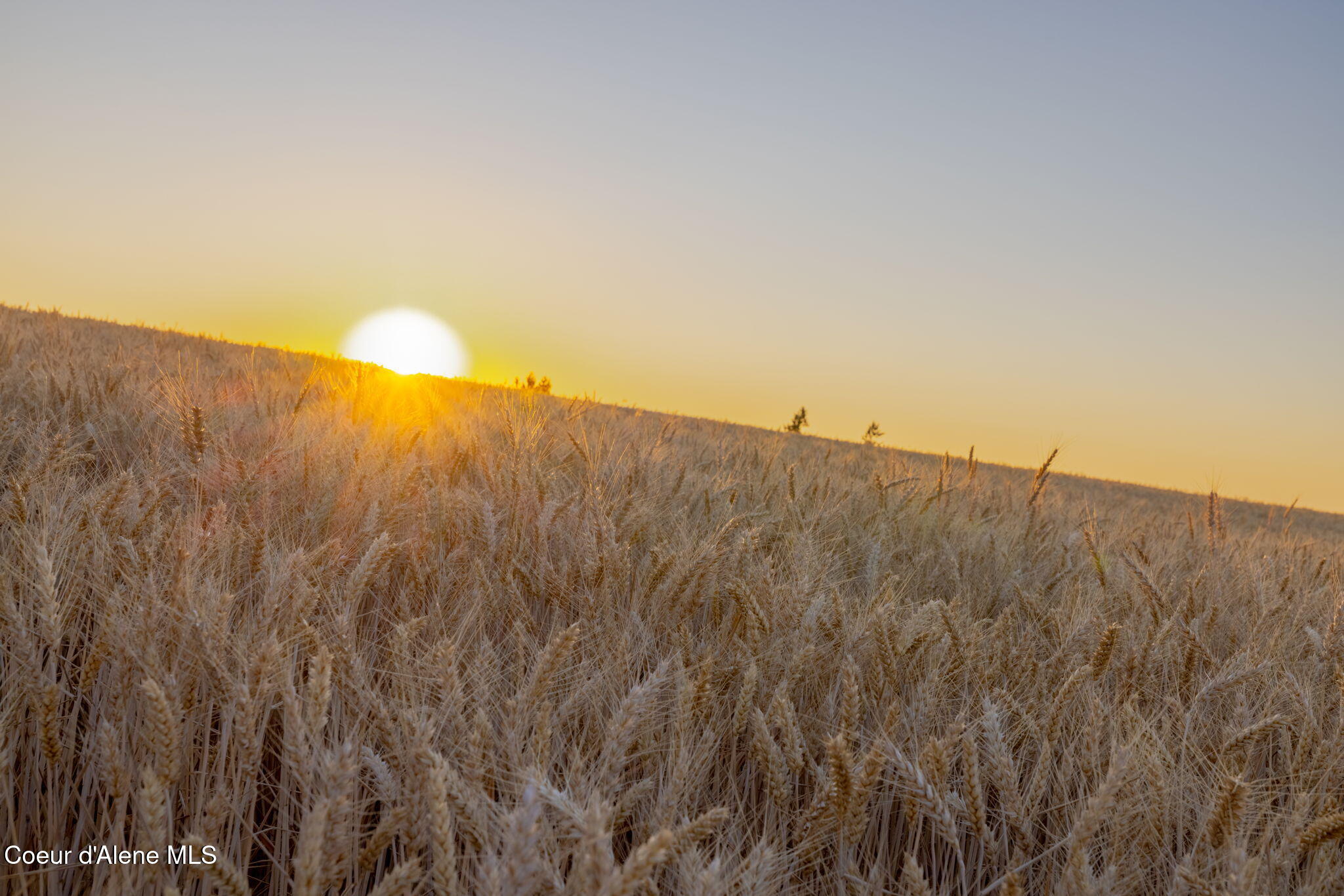 1199 Walker Road Viola, ID 83872 - Photo 63 of 71 RealVue - 2025 0716 - 1199 Walker Rd-68