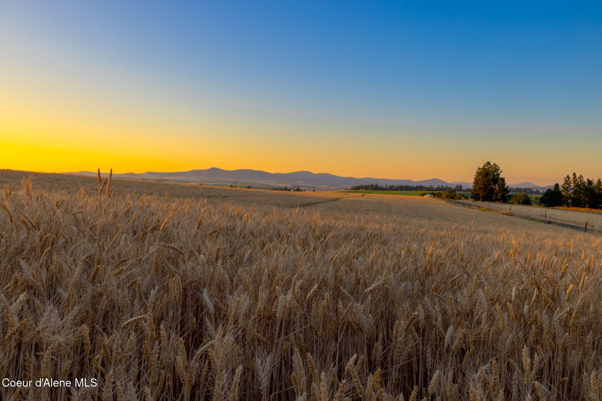 1199 Walker Road Viola, ID 83872 - Photo 64 of 71 RealVue - 2025 0716 - 1199 Walker Rd-07