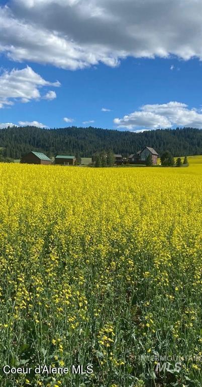 1199 Walker Road Viola, ID 83872 - Photo 71 of 71 98955822-d45cbf02-cfd6-4c4a-9d44-57b2d22