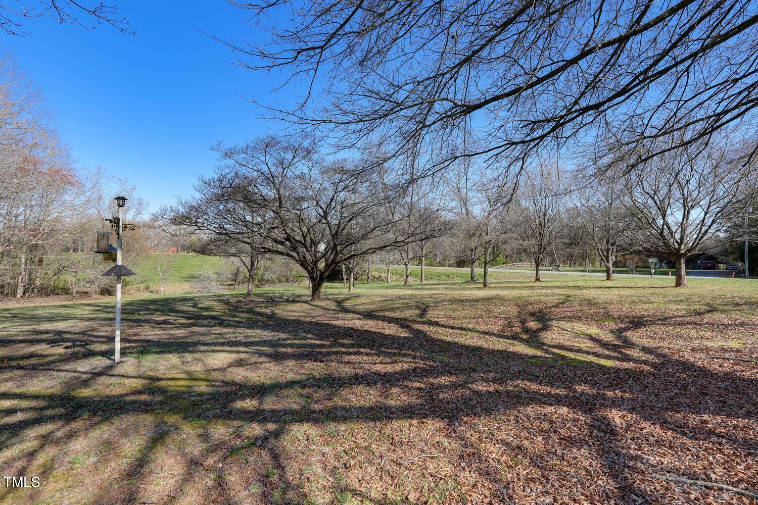 650 Huffines Mill Road Reidsville, NC 27320 - Photo 2 of 35 a view of dirt yard with large trees