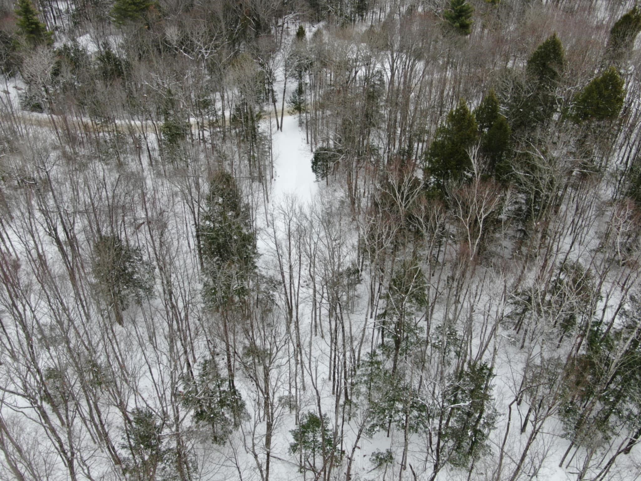 0 Quaker Road New Durham, NH 03855 - Photo 23 of 23