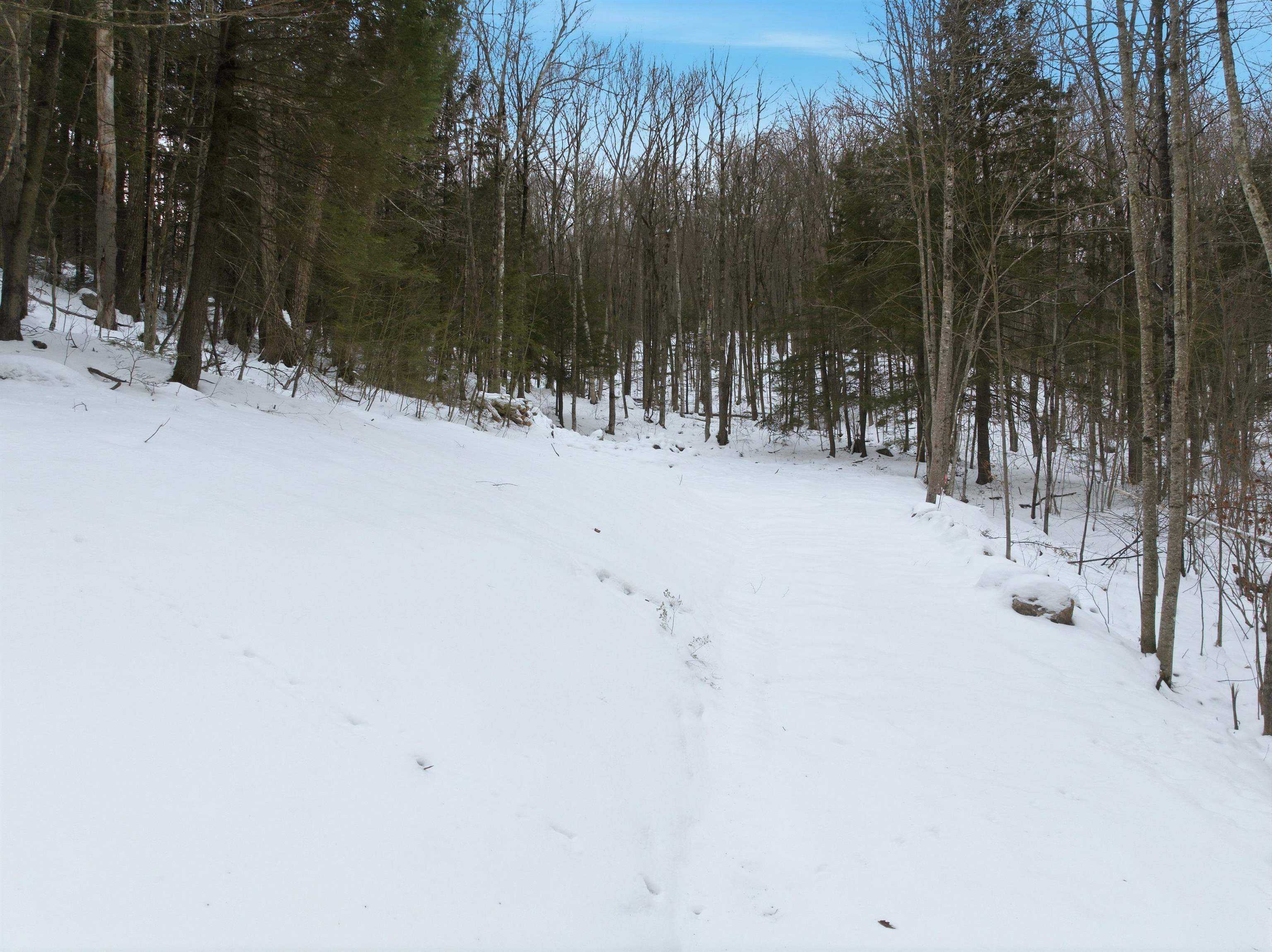 0 Quaker Road New Durham, NH 03855 - Photo 6 of 23