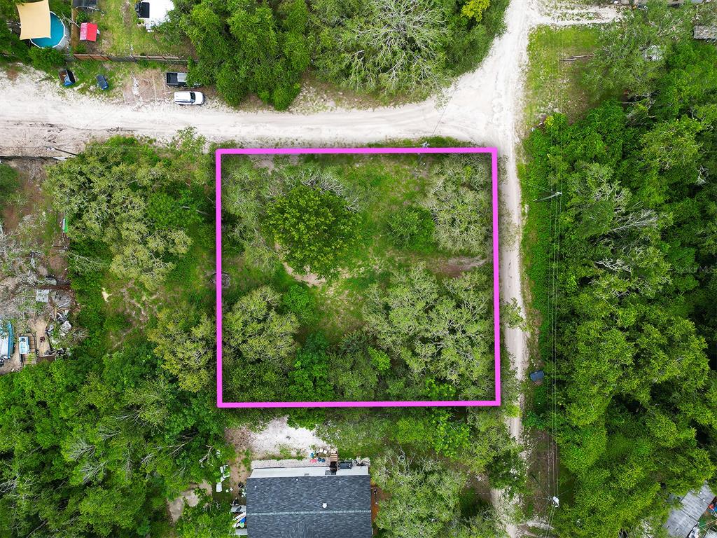 9412 Labelle Street New Port Richey, FL 34654 - Photo 3 of 3