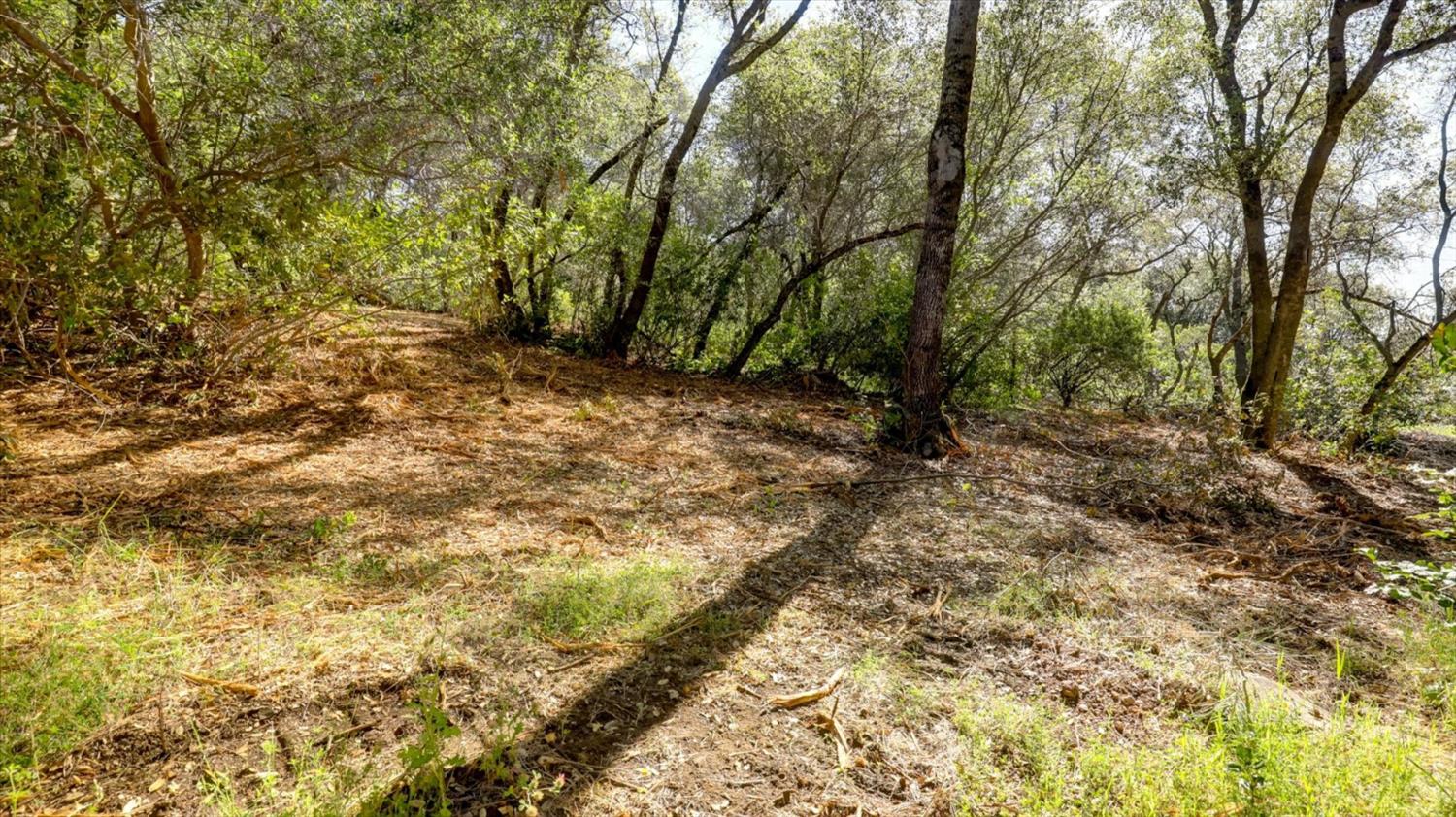 0 Southridge Road Penn Valley, CA 95946 - Photo 54 of 72