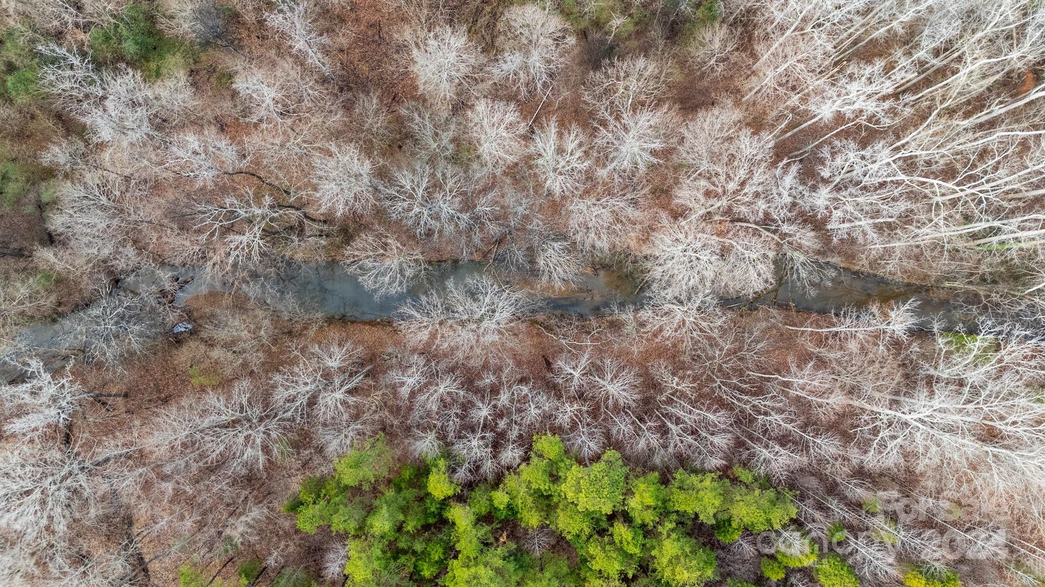 609 Copperfield Lane Lexington, NC 27292 - Photo 16 of 18 a view of a yard with a tree
