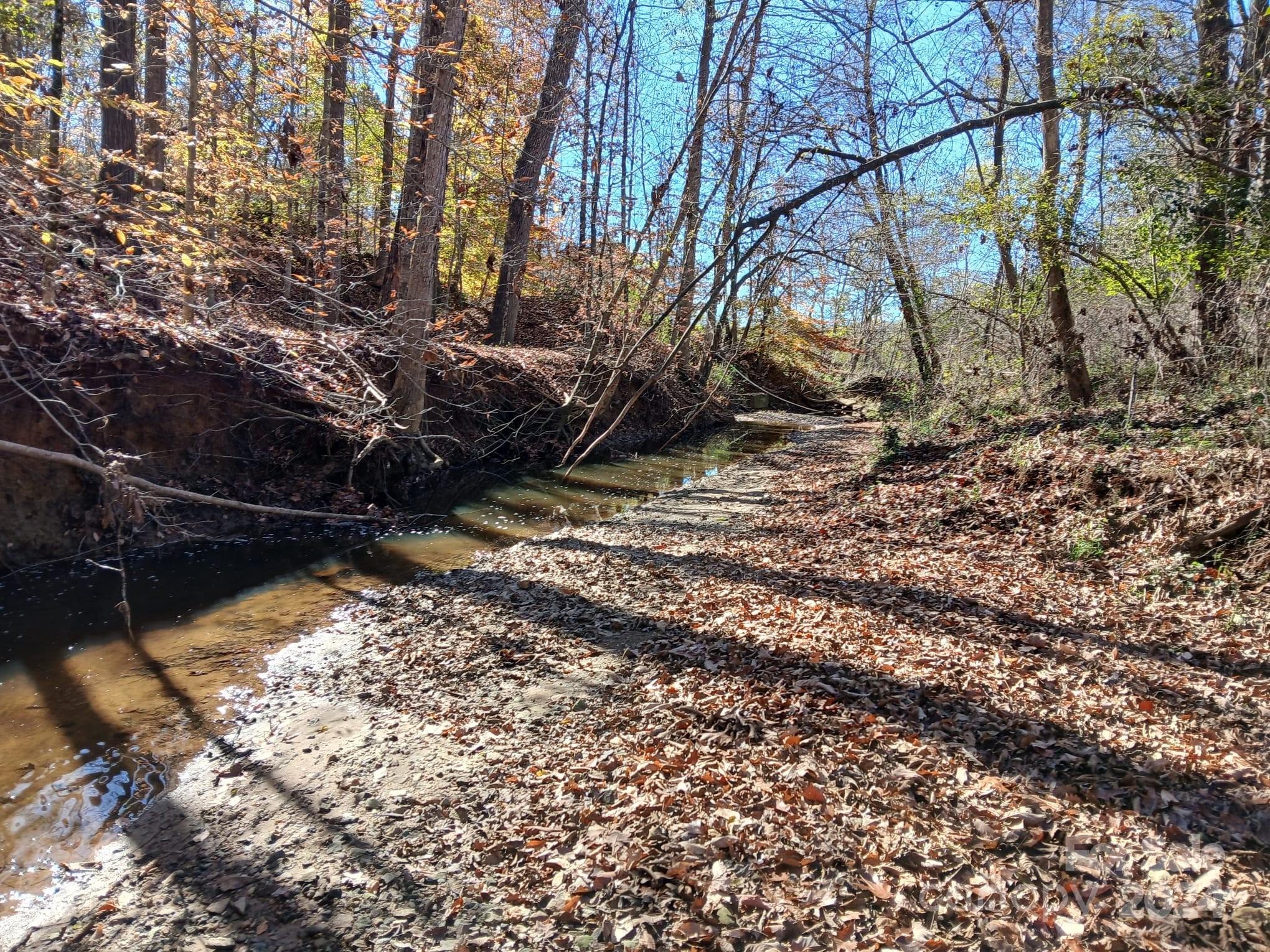 609 Copperfield Lane Lexington, NC 27292 - Photo 18 of 18 a view of a yard with large trees