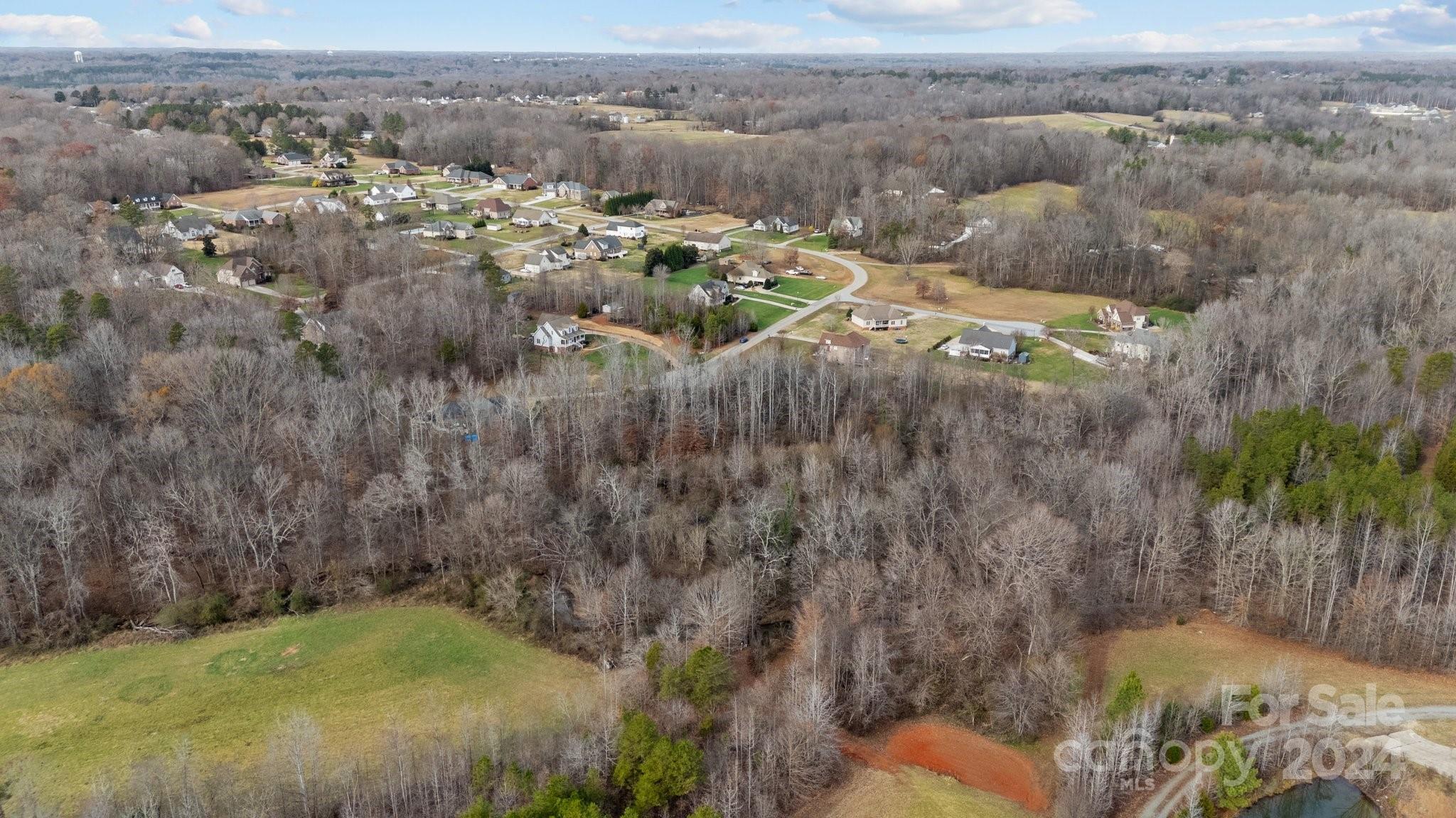 609 Copperfield Lane Lexington, NC 27292 - Photo 8 of 18 a view of a forest with a yard