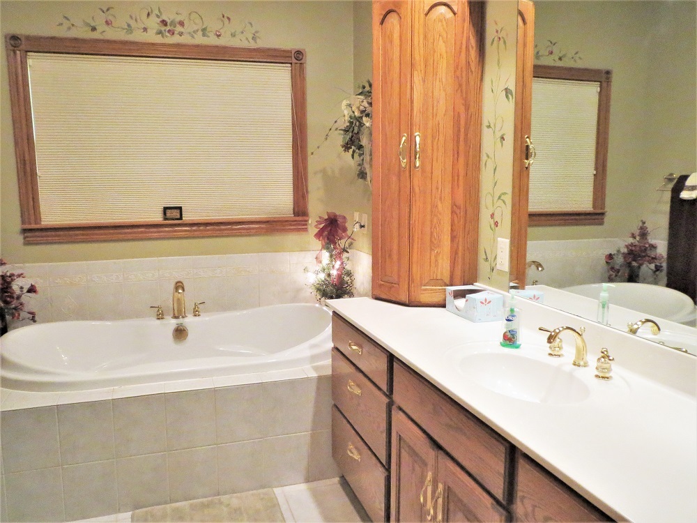1122 Sterling Road Dixon, IL 61021 - Photo 11 of 45 a bathroom with a sink and a mirror
