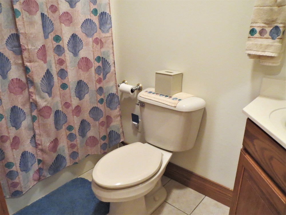 1122 Sterling Road Dixon, IL 61021 - Photo 16 of 45 a white toilet sitting next to a shower curtain