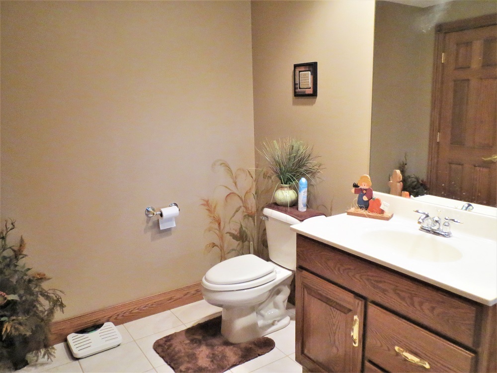 1122 Sterling Road Dixon, IL 61021 - Photo 28 of 45 a bathroom with a sink a toilet and a mirror