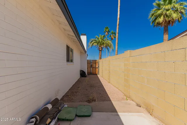 a view of a backyard