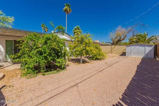 a view of a street with flower plants